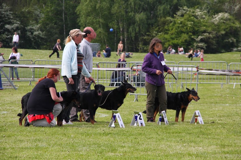 LE BEAUCERON - Page 7 IMG_9027