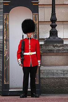 Palace guard