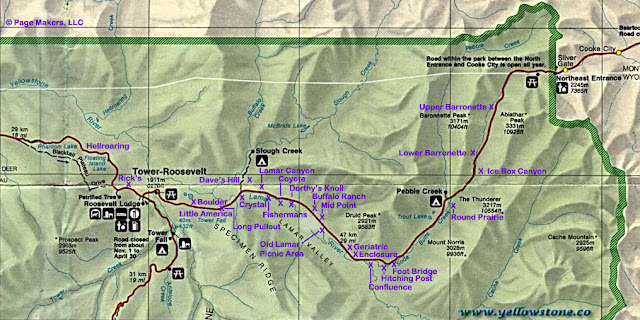 Animales y zonas más “salvajes” de YELLOWSTONE - OESTE DE EEUU 2015. UN MES POR LOS PARQUES NATURALES DE 6 ESTADOS (TERMINADO!!) (24)