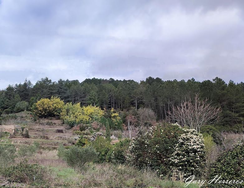 Vente terrain  2503 m² à Olargues (34390), 99 000 €