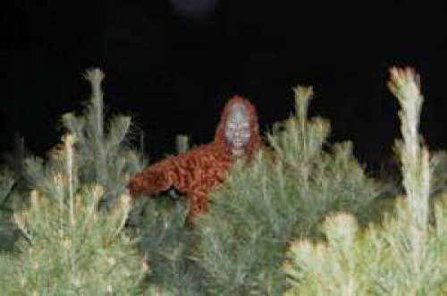 Bigfoot Sasquatch Yeti