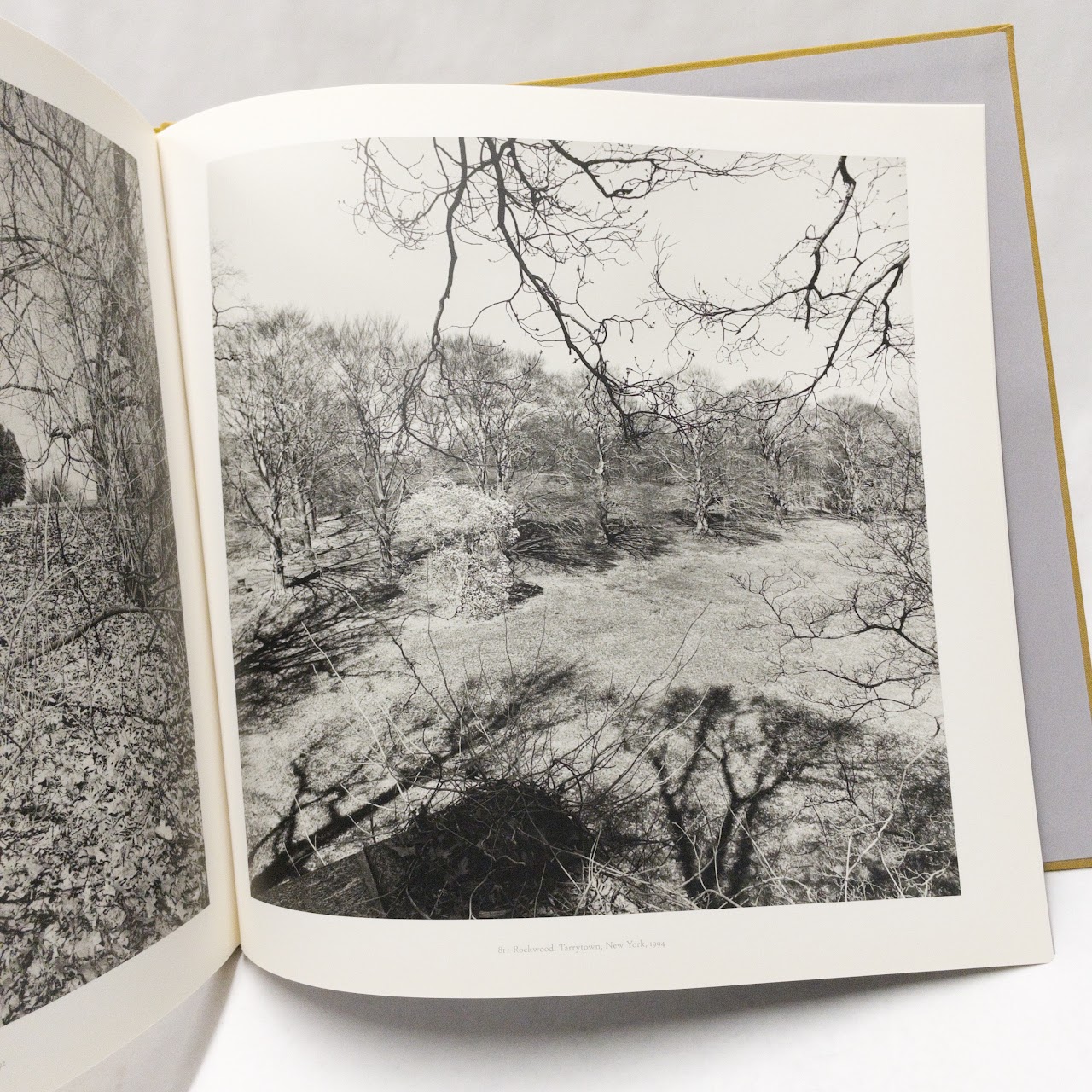 Lee Friedlander: Photographs Frederick Law Olmsted Landscapes Book