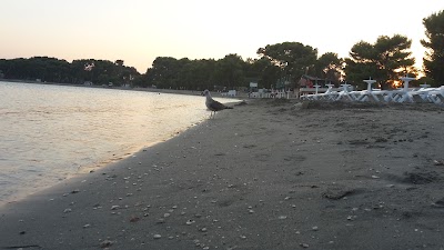Photos of Barracuda Beach Bar