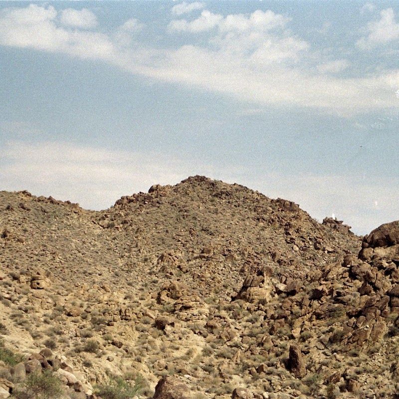 Joshua Tree JoshTree_05.jpg