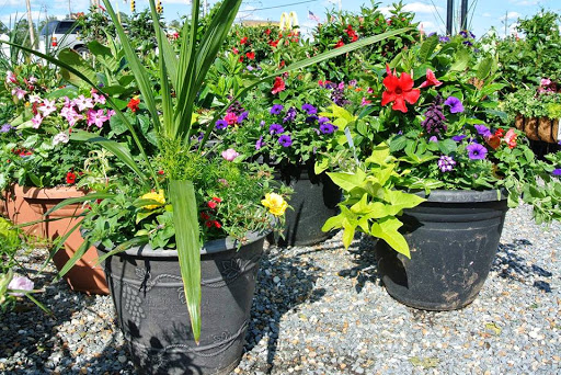 Jernigan's Nursery & Trading Post