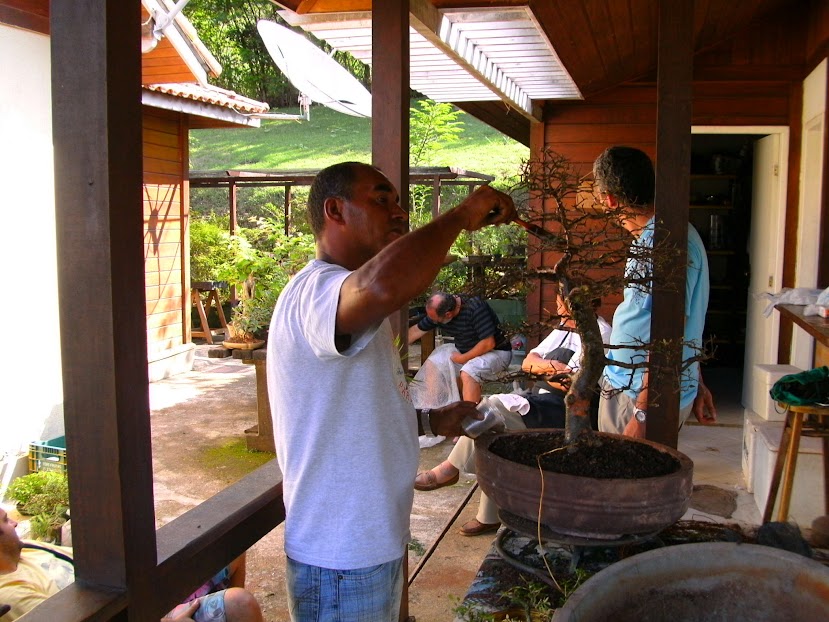 Encontro no Sítio do Bonsai em Niteroí... - Página 2 PICT1152