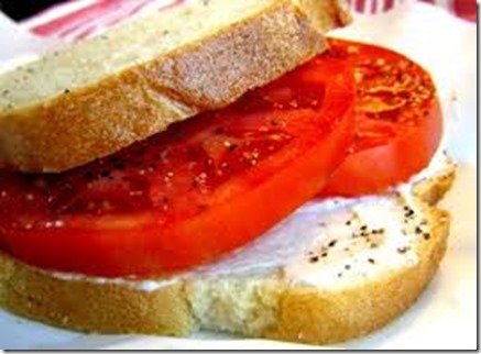 tomato-sandwich