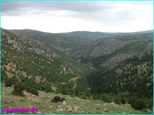 DSCF0389.JPG