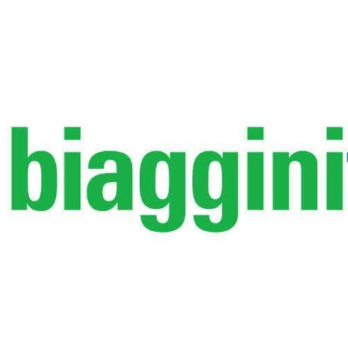 E. Biaggini SA logo