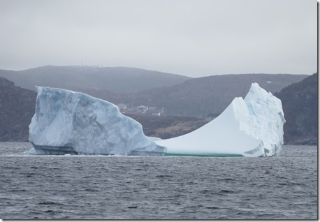 nl_ls_d1_st_anthony_bight_glacier