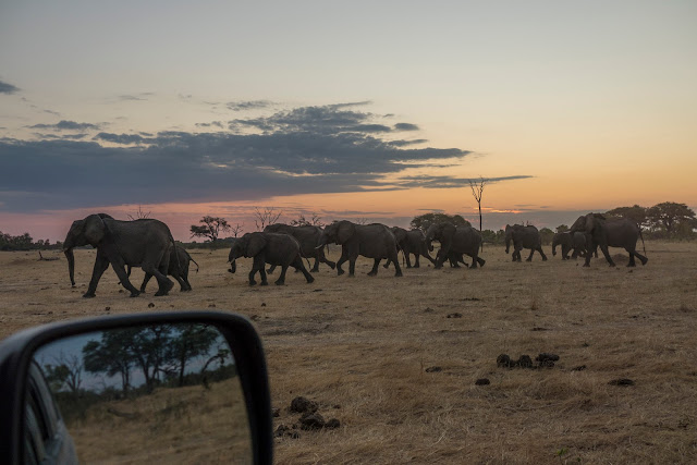 Botswana et Zimbabwe en octobre BotsZim_Oct2015_431