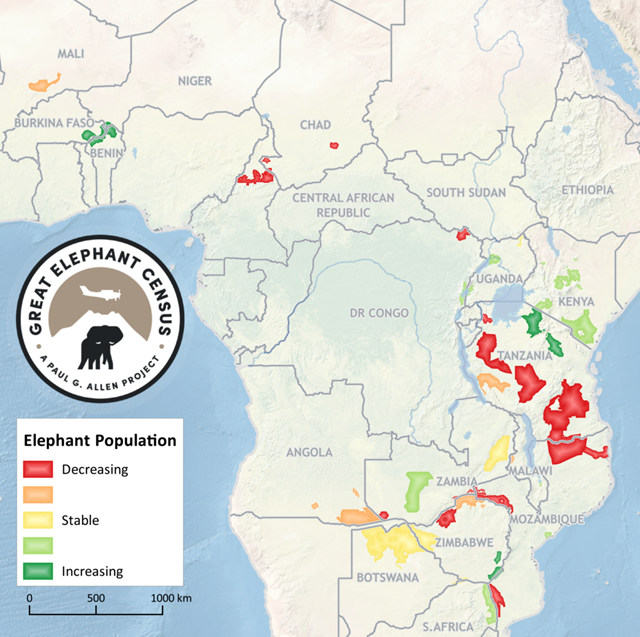 Elephant population trends in Africa, in Great Elephant Census (GEC) landscapes over the past ten years based on GEC data and comparable previous surveys (methodology in Chase, et al., 2016). Red landscapes declining >5 percent per year, orange declining 2-5 percent per year, yellow declining or increasing <2 percent per year, pale green increasing 2-5 percent per year, dark green increasing >5 percent per year. Graphic: Great Elephant Census