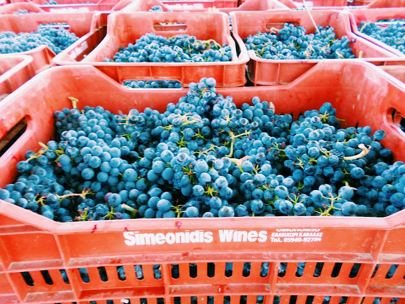 Image principale de SIMEONIDIS Winery
