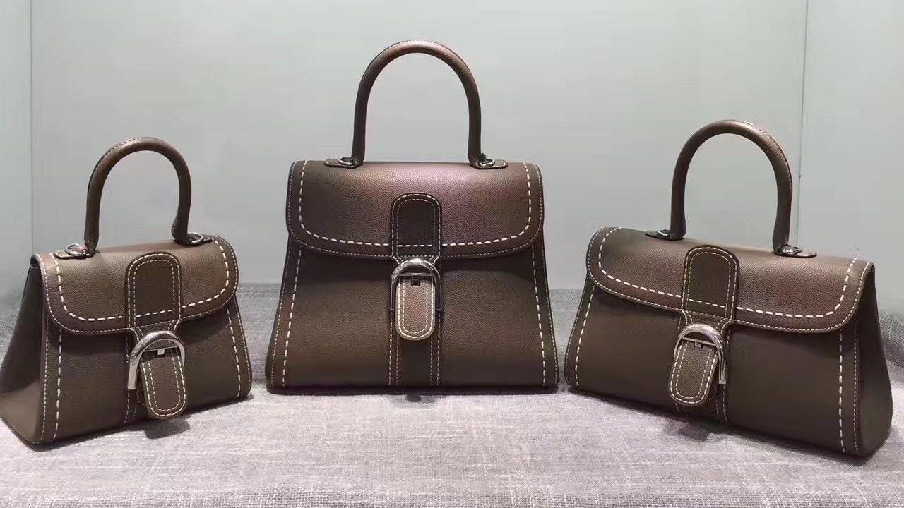 Delvaux Bags: A Belgian Legacy of Elegance and Luxury – VS Lifestyles