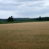 In de buurt van Assel.