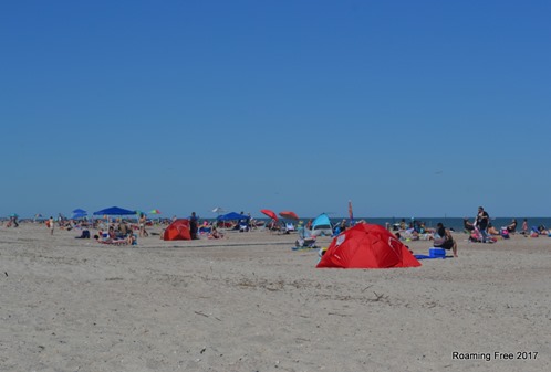 Busy day at the beach