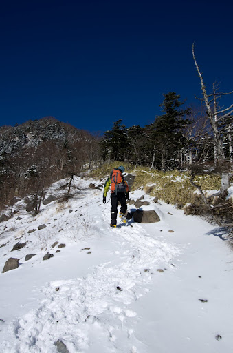 前三ツ頭まで、まだある。。。