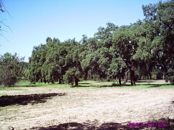 Imagen 5 de Villanueva de los Castillejos