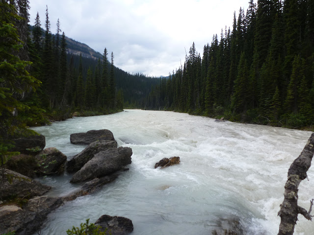 PN de Yoho: Natural Bridge. Lake Emerald. Takakka Falls. Laughing Falls. 3 de Ju - LAS ROCOSAS DE CANADA. YELLOWSTONE Y GRAND TETON. (31)