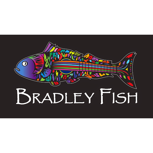 Bradley Fish Guitar Lessons logo