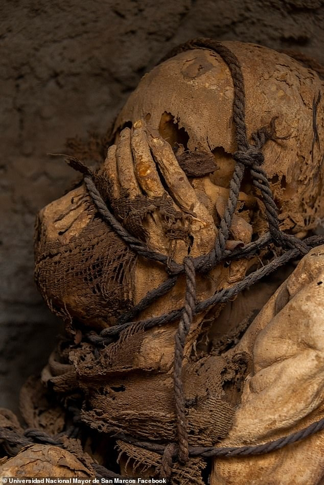 1,200 Years Old Strange Mummy Tied In Net Rope Discovered In Peru(Photos)