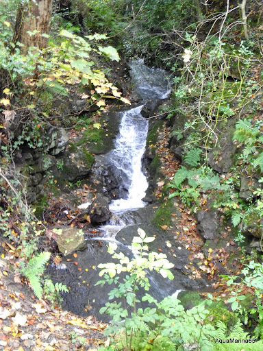 Наш первый раз... Лондон и Эдинбург