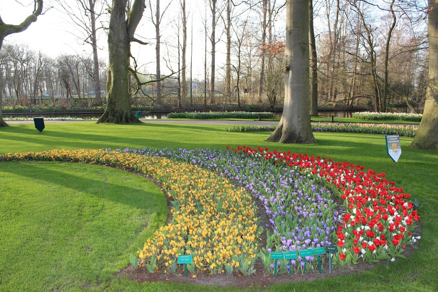 Keukenhof 2012