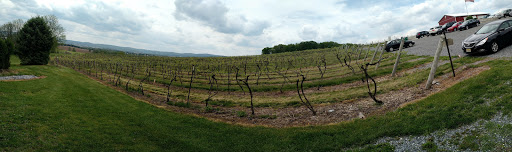 Winery «Vynecrest Winery», reviews and photos, 172 Arrowhead Ln, Breinigsville, PA 18031, USA