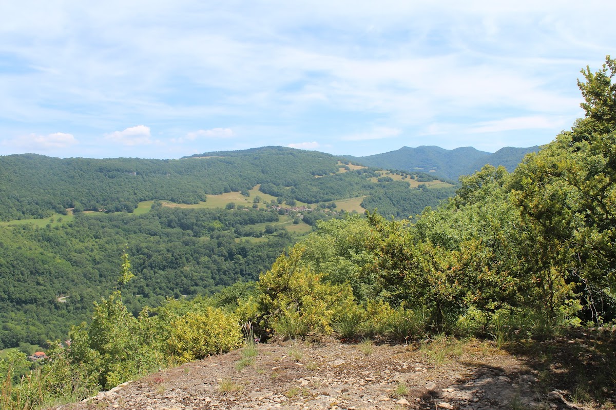 Torcieux - La Croix des moines - Les Moines - le près Charvet IMG_3350