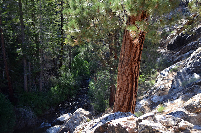 Little Kern River