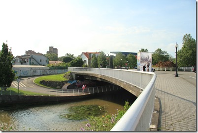 IMG_1982 IMG_1982