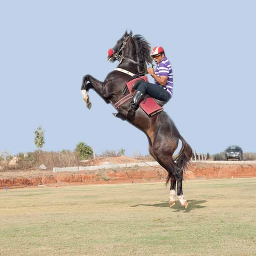 Hyderabad Horse Riding School, Manikonda Main Road, Gulshan Colony, Qutub Shahi Tombs, Hyderabad, Telangana 500008, India, Horse_Trainer, state TS