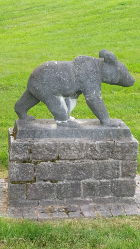 Bear Statute