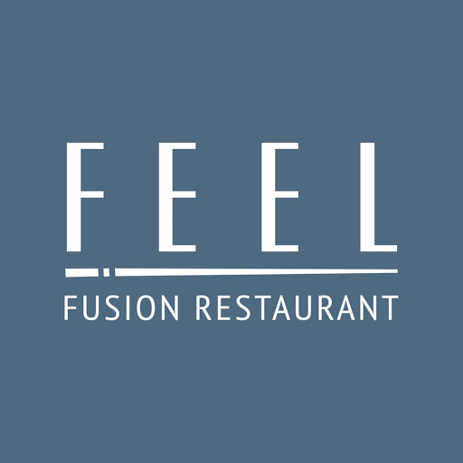 Feel Fusion logo