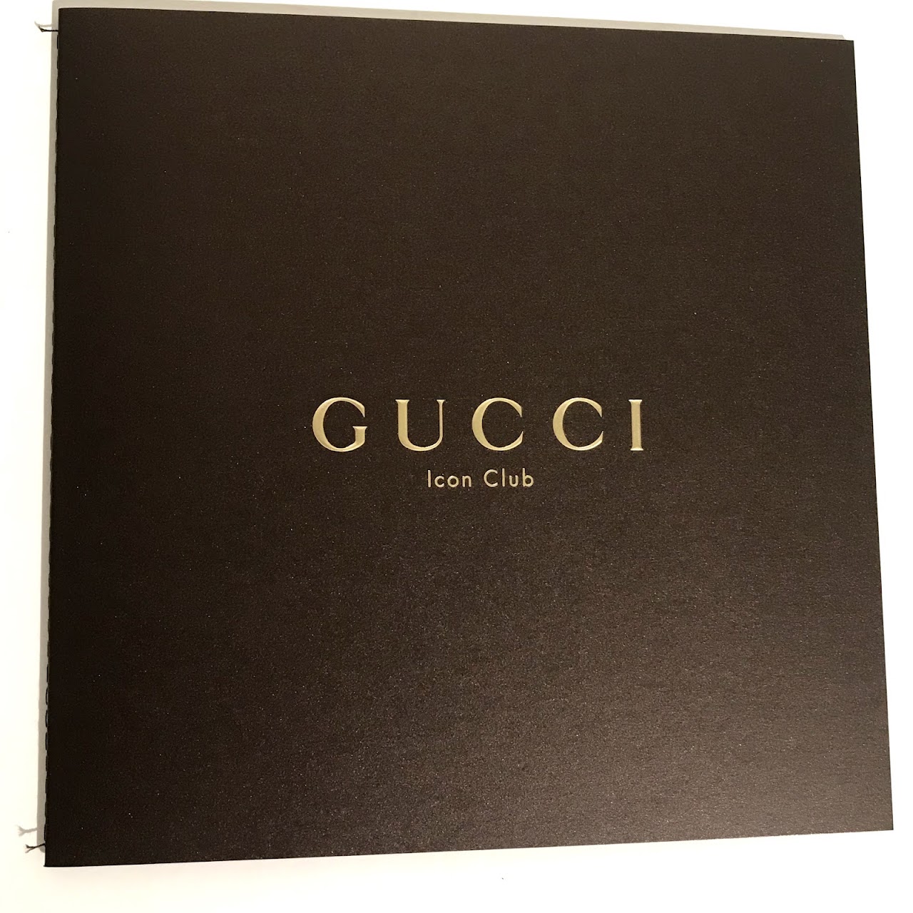 Gucci Icon Club Shoe Shine Brush and Cloth Set