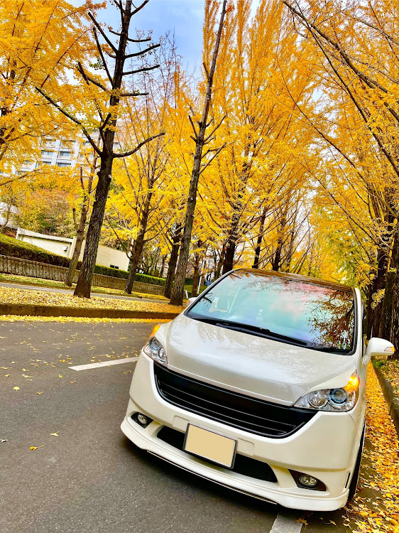 ステップワゴンの紅葉ドライブ・オフ会・車種名エンブレムは無し派に関するカスタム事例の投稿画像1枚目