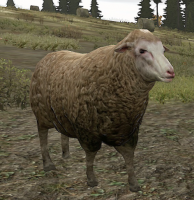 파일:attachment/Dayz(Standalone)/dayzSheep.png