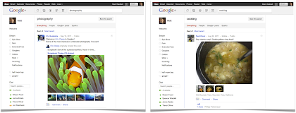 Google Plus search