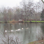 Wevelgem 28-01-'12 Wevelgem 28-01-'12