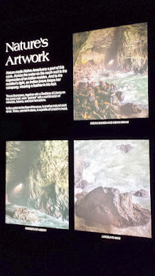 The Sea Lion Caves, the World's Largest Sea Cave located 11 miles north of Florence, Oregon