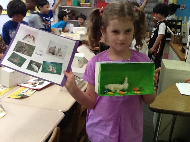 animal research project first grade