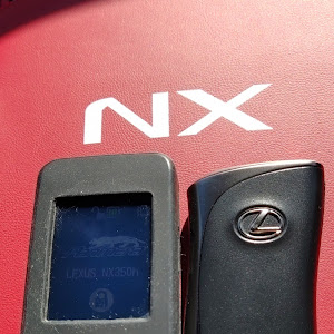 NX AAZH20