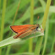 Obrázek: IMG_5720.JPG