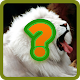 Download Animals QUIZ joc For PC Windows and Mac 3.2.7z