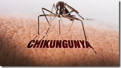 Demam Chik (Chikungunya)