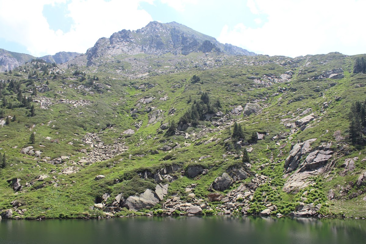 L'étang de Batouxiade dans la vallée d'Orlu IMG_4029