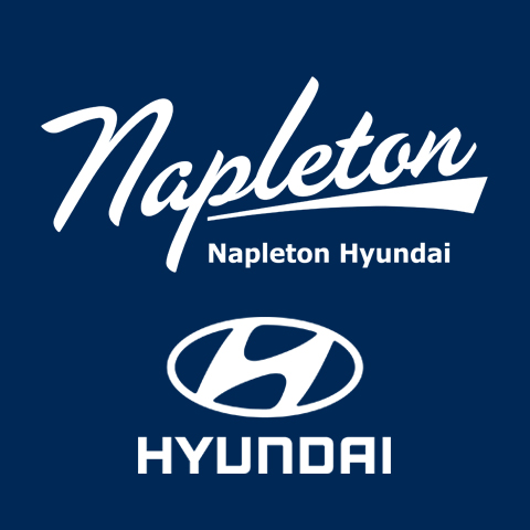 Napleton Hyundai logo