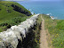 Path descending down the cliffside at Jacket's Point 