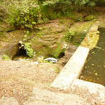 Boarding House Dam in the Watagans (322505)