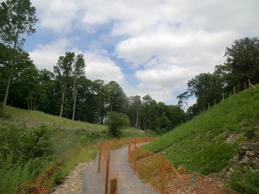 CIMG8704 Repaired towpath at Dogmersfield